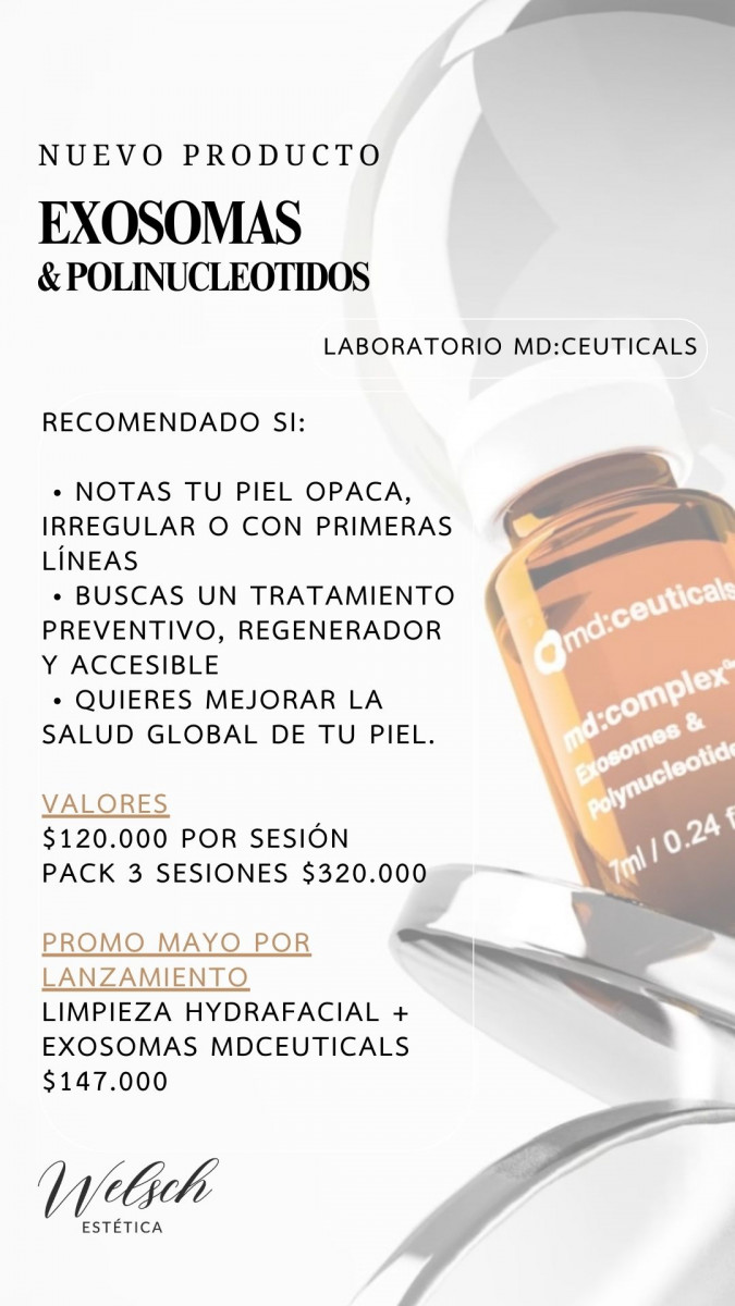 Welsch Estetica 1  
