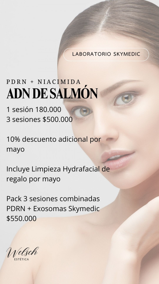 Welsch Estetica 3  