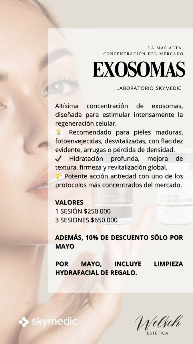 Welsch Estetica 4  