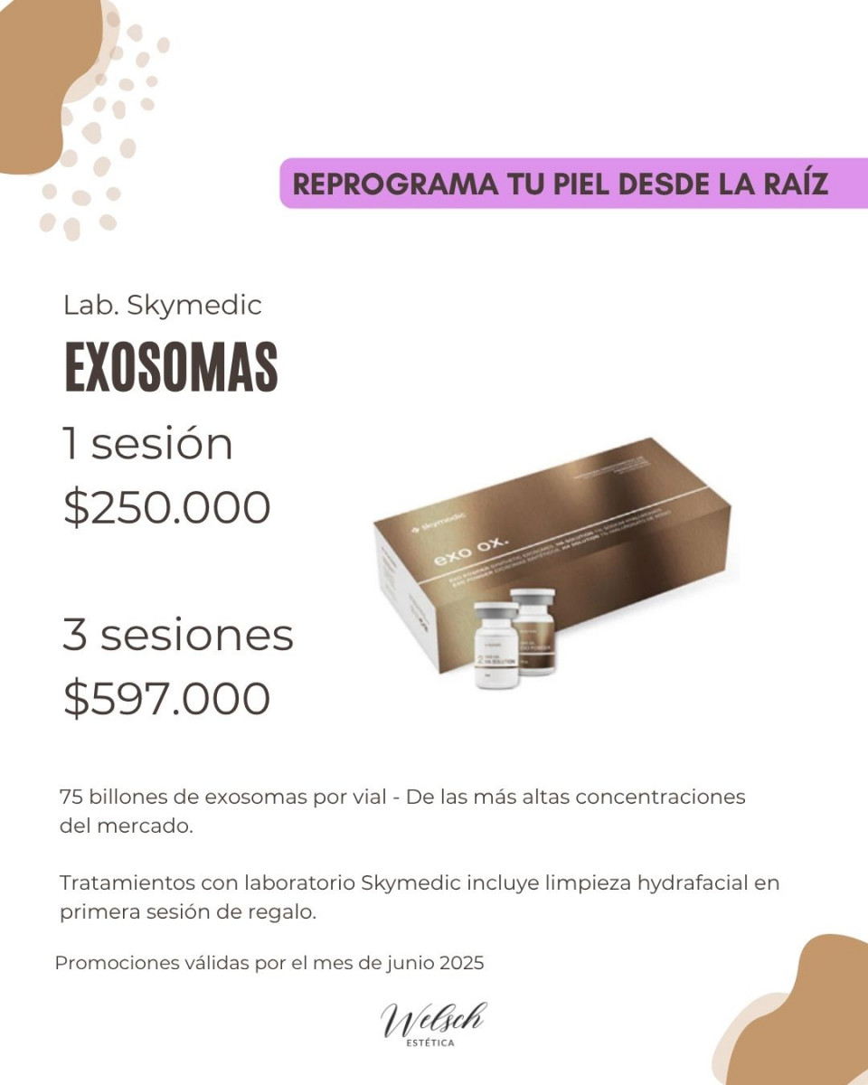 Welsch Estetica 4  