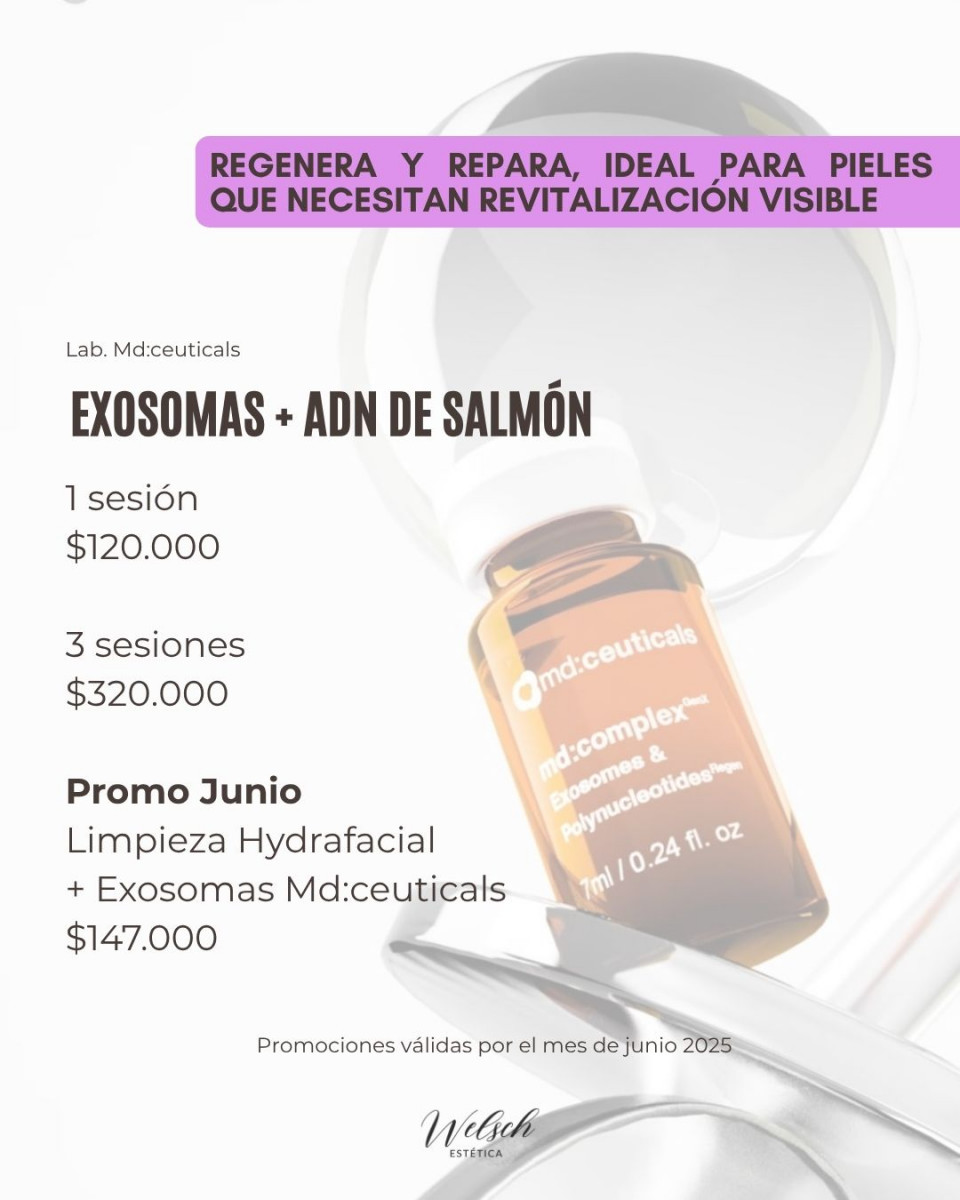 Welsch Estetica 5  