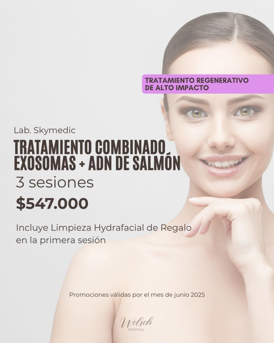Welsch Estetica 6  