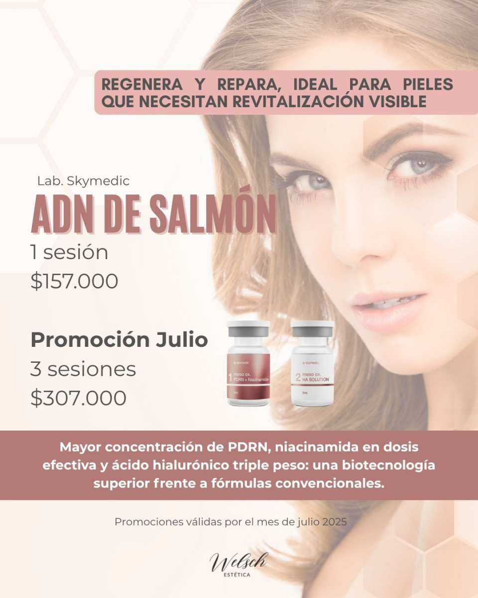 Welsch Estetica 3  