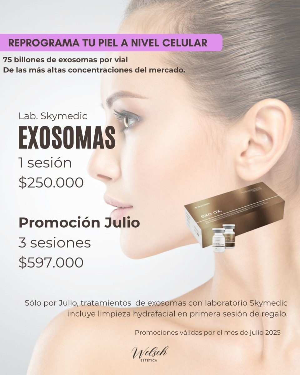 Welsch Estetica 4  