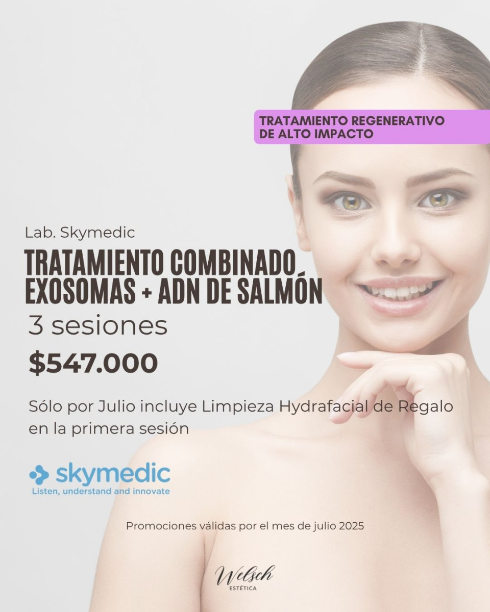 Welsch Estetica 6  