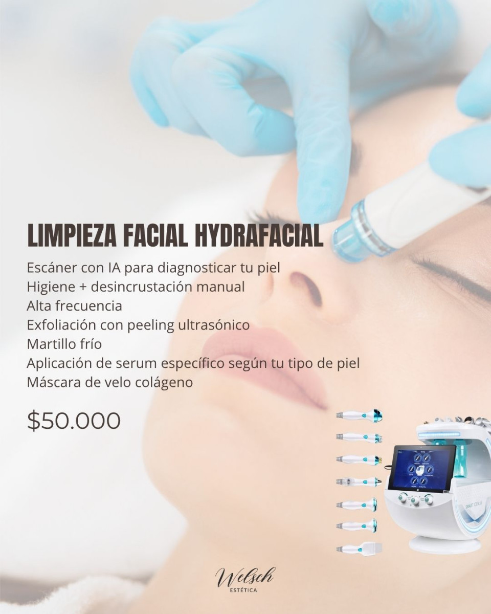 Welsch Estetica 3  