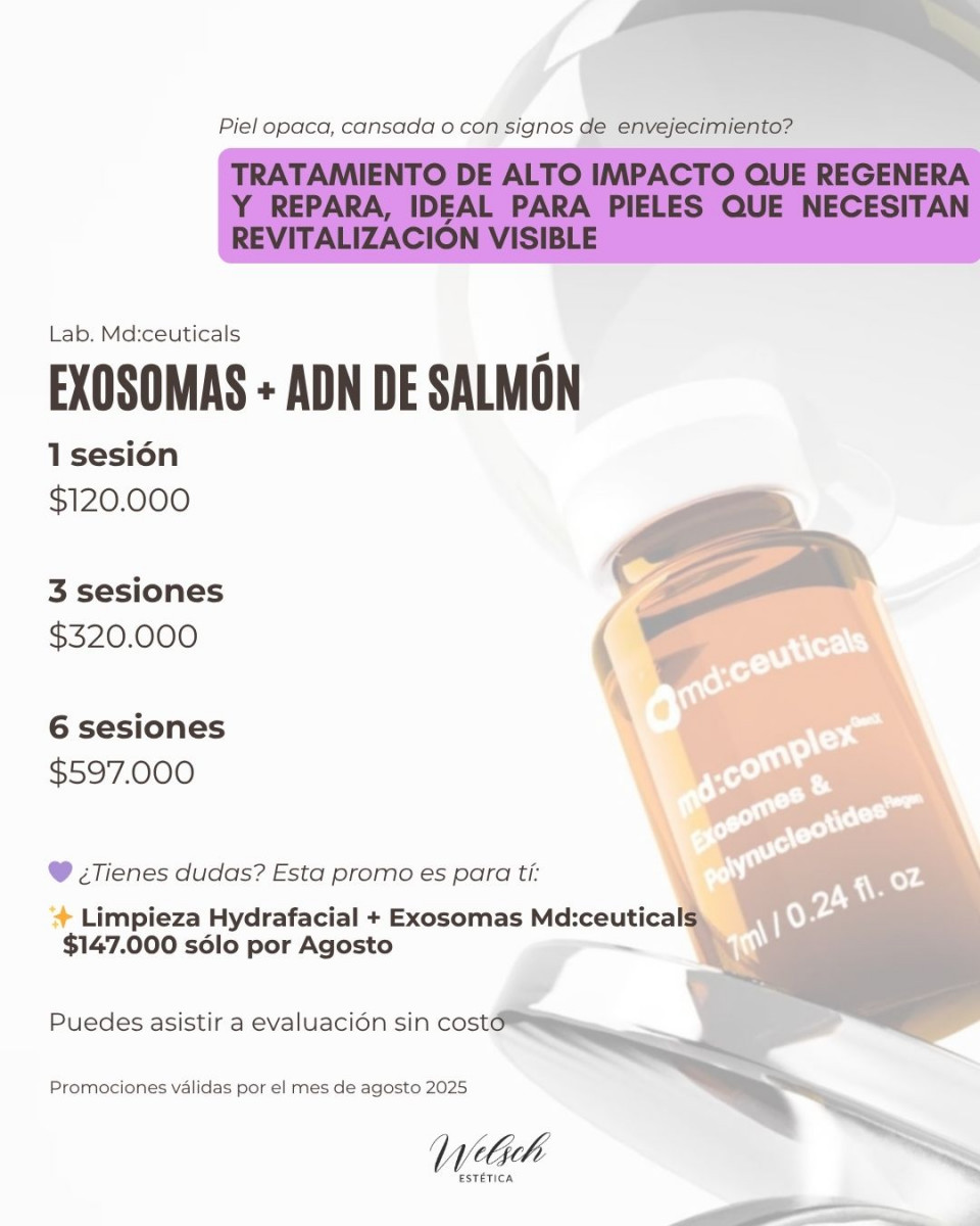Welsch Estetica 4  