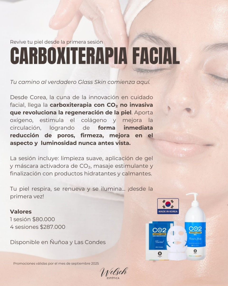 Welsch Estetica 2  