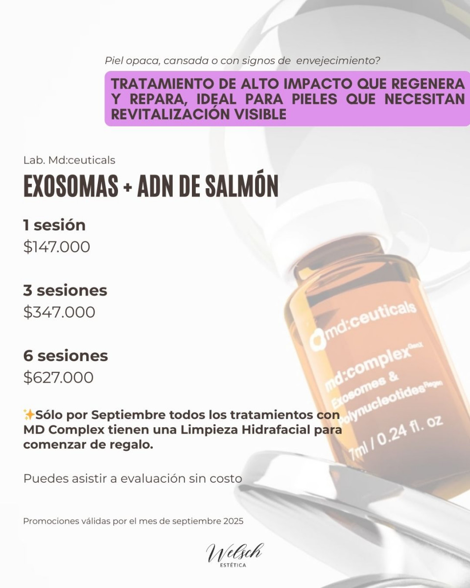 Welsch Estetica 5  