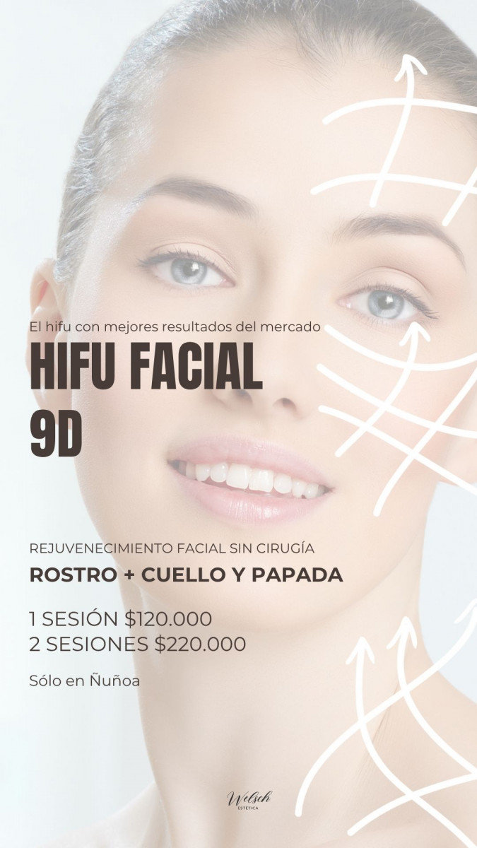 Welsch Estetica 13  