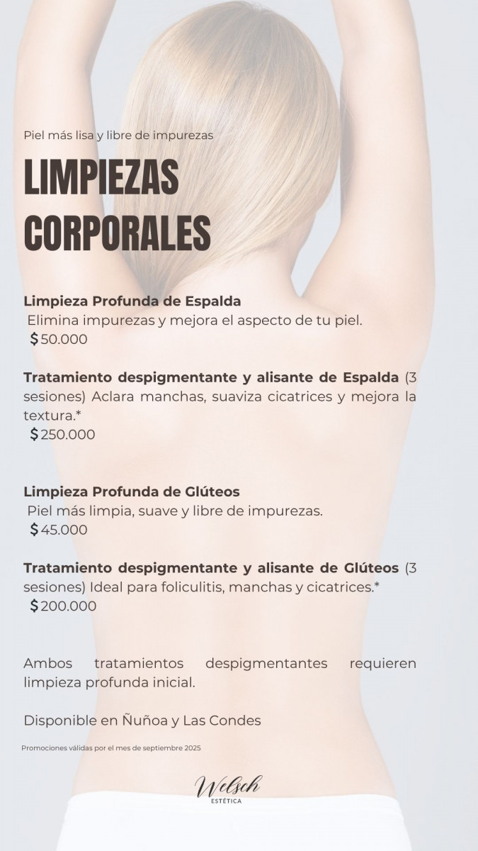 Welsch Estetica 2  