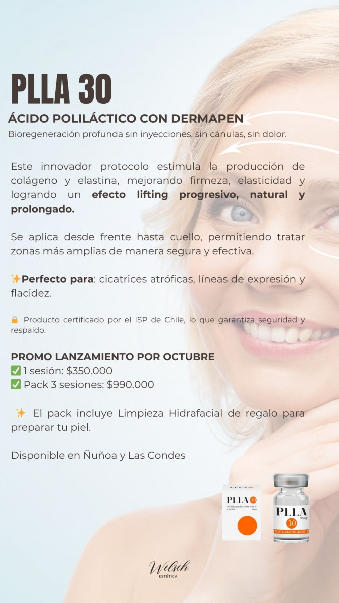 Welsch Estetica 3  