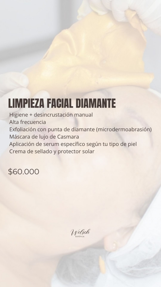 Welsch Estetica 6  