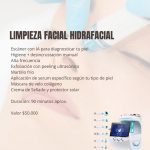 Welsch Estetica, %title Welsch Estetica 4-150x150